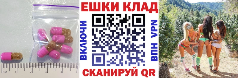 Ecstasy бентли  Купить  Неман 