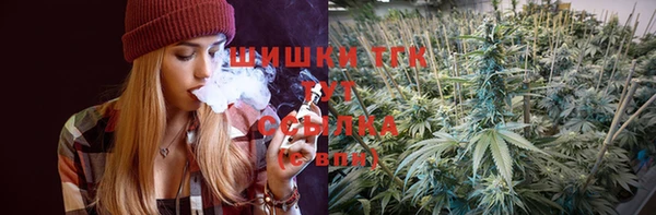 хмурый Вяземский