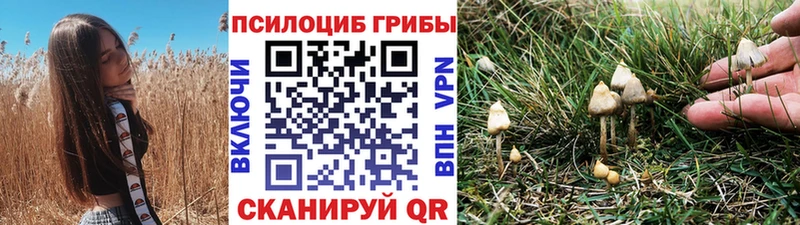 Псилоцибиновые грибы Magic Shrooms  Купить где  Неман 